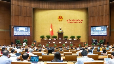 国会議員の大多数の意見は、広告法のいくつかの条項を改正および補足する内容に基本的に賛成している。