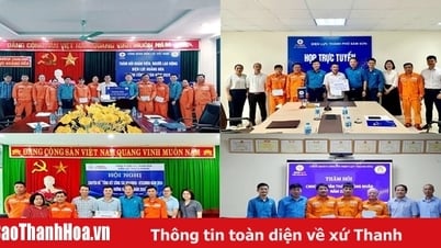 Thanh Hoa Electricity Company: Den Geist der Kameradschaft und des Teilens während des Arbeitermonats verbreiten