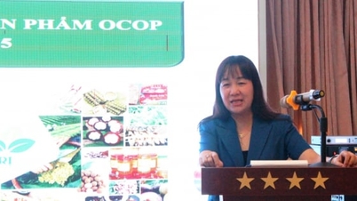 Da Nang construit l'histoire du produit OCOP