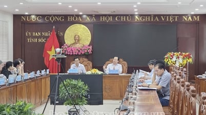 Une résolution sur les politiques de soutien et autres soutiens spécifiques aux projets éoliens dans la province de Soc Trang sera publiée.