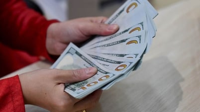 Tỷ giá USD hôm nay 29/5/2025: Tỷ giá tự do tăng nhẹ ngày thứ hai nhờ lạc quan thương mại