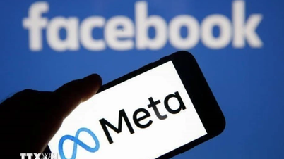 Число пользователей чат-бота на основе искусственного интеллекта от Meta достигло 1 миллиарда в месяц