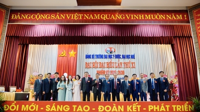 Hue University of Medicine and Pharmacy: Towards an international standard school and institute model