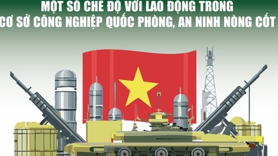 Infographics: គោលនយោបាយមួយចំនួនសម្រាប់កម្មករនៅក្នុងស្ថាប័នឧស្សាហកម្មការពារ និងសន្តិសុខស្នូល