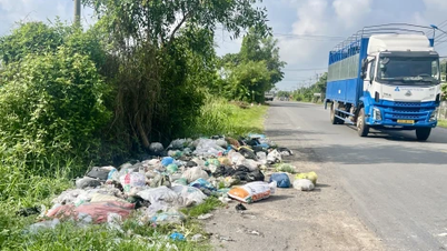 Los vertederos espontáneos de basura se vierten en las cunetas de las carreteras, provocando contaminación ambiental.