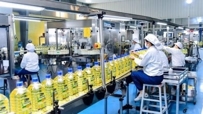 決議68号と民間企業の第二の喜び