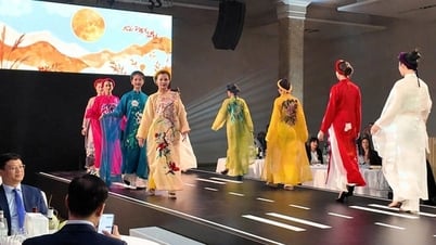 ポーランドとチェコ共和国における文化観光フェスティバルや一連のイベントの企画