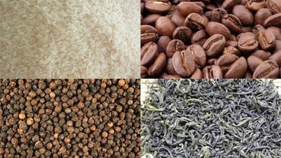 Cơ hội xuất khẩu khẩu nông sản vào Algeria và Tunisia thông qua dự thầu