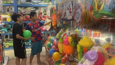 Marché du jouet 1/6 : Les détaillants lancent des promotions pour attirer les clients
