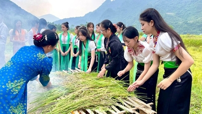Muong So préserve l'identité culturelle du groupe ethnique thaïlandais