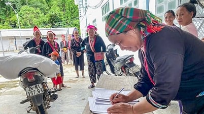 Thầy hiệu trưởng vùng cao chia hơn 21 tấn gạo cho học sinh trước ngày nghỉ hè