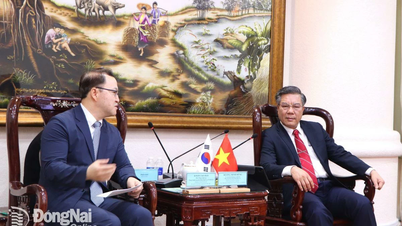 Hàn Quốc đứng đầu về đầu tư các dự án công nghiệp tại Đồng Nai