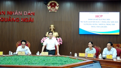 Phấn đấu hoàn thành chỉ tiêu thu ngân sách nhà nước năm 2025