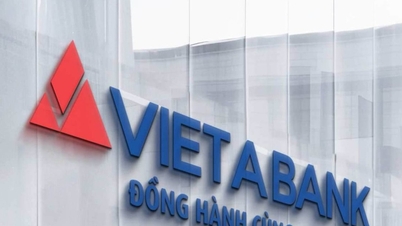 ما هي "خطط" مجموعة Viet Phuong وVietABank؟