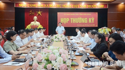 Provincial People's Committee evaluates the implementation of socio-economic development tasks in the first 6 months