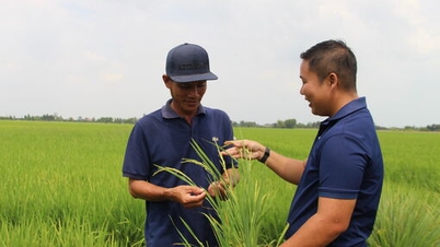 โครงการปลูกข้าวคุณภาพดีปล่อยมลพิษต่ำ 1 ล้านไร่ “ปฏิวัติ” ทุ่งนา : ผู้ช่วยเกษตรกรที่มีประสิทธิภาพ (ตอน 3)
