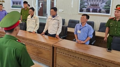 Da Nang: Procesados ​​3 sujetos por enterrar ilegalmente 162 toneladas de residuos sólidos