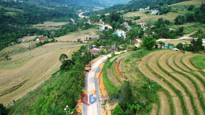 Nuevo campo, nueva apariencia, nueva felicidad