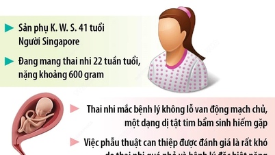 การแทรกแซงที่ประสบความสำเร็จสำหรับทารกในครรภ์อายุ 22 สัปดาห์ที่ "ถูกส่งไปรักษา" ในเวียดนาม