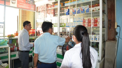 Tan Chau: Inspección de instalaciones médicas privadas