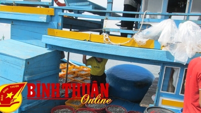 Hình thành 90 chuỗi cung ứng thực phẩm an toàn