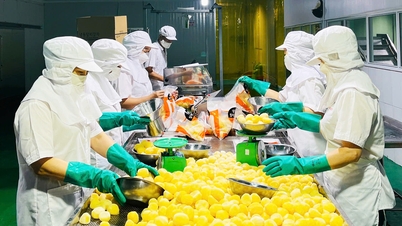 Giải mã sức bật Bắc Giang - Hiện tượng tăng trưởng kinh tế của Việt Nam: Bài 4 - Bài học kinh nghiệm và những điểm nghẽn