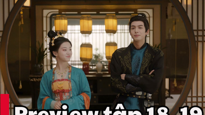 Thieu Hoa Nhuoc Cam episodios 18, 19: Showtime, enlace de visualización directa