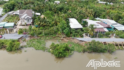 Se requiere reparación urgente de deslizamientos de tierra en la aldea de Hau Vinh, comuna de Hau Thanh.