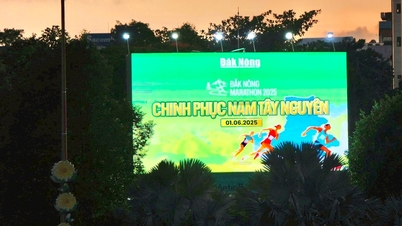 Dak Nong accueille le Marathon 2025 – À la conquête des hauts plateaux du centre-sud