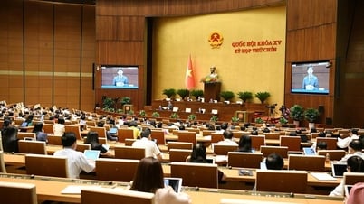 Le 29 mai, l'Assemblée nationale a examiné le projet de loi modifiant et complétant un certain nombre d'articles de la loi sur les établissements de crédit.