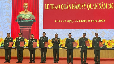 41 sĩ quan Biên phòng được trao quyết định thăng quân hàm, nâng lương