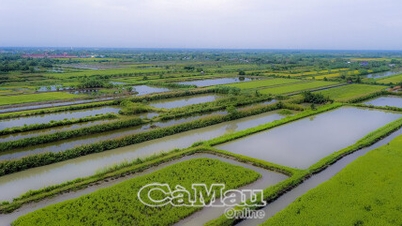 Cai Nuoc เปิดใช้งานโซลูชันการพัฒนามากมาย