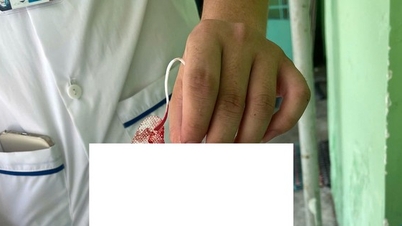 Estudiante llama a su novio para que golpee a su compañero y lo lleve al hospital