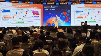 Alibaba.com تطلق حلاً مخصصًا للشركات الصغيرة والمتوسطة