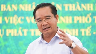El presidente del Comité Popular de Ciudad Ho Chi Minh como jefe del grupo de trabajo contra la falsificación y el contrabando
