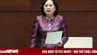 Депутаты Национальной ассамблеи обеспокоены злоупотреблением политикой кредитования с нулевой процентной ставкой, заявил глава государственного банка