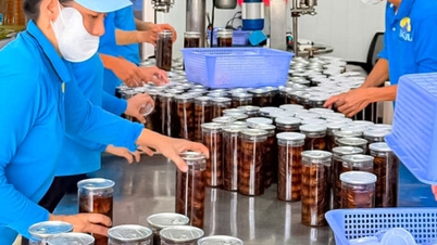 เพื่อให้สหกรณ์เข้มแข็งในสถานการณ์ใหม่