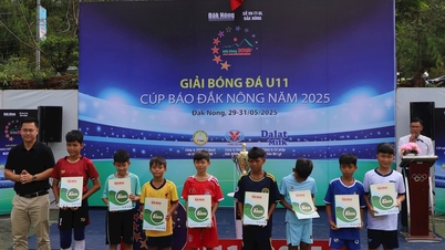 Vergabe von 8 Stipendien beim U11-Fußballturnier – Dak Nong Newspaper Cup