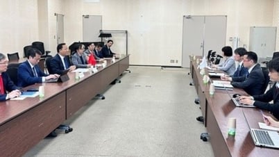 베트남-일본 에너지 협력 촉진