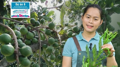 ประสบการณ์ : ไปที่สวน “พันล้านเหรียญ” เพื่อเก็บผลไม้และทำเค้ก