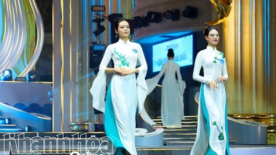 Газета Khanh Hoa будет транслировать в прямом эфире финальный вечер конкурса «Мисс Вьетнамское море и острова 2025».