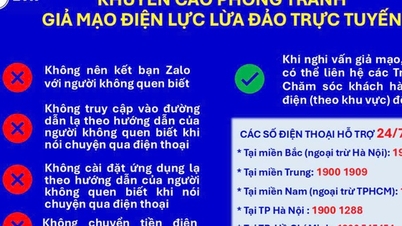 EVN khuyến cáo người dân cảnh giác với 'chiêu trò' giả mạo điện lực để lừa đảo trực tuyến