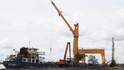Sắp khai thác tuyến vận chuyển đường biển Cần Thơ - Cái Mép - Tổng công ty Hàng hải Việt Nam-VIMC