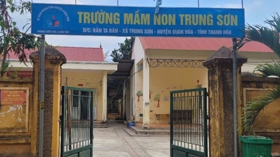 Disciplinary warning for principal who called kindergarten teacher a 'call girl'