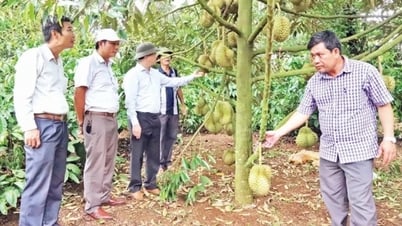 産業貿易ニュース5月29日:農産物輸出における市外局番の管理