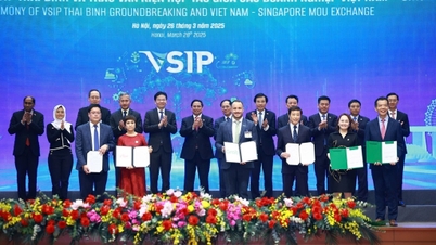 AgriS ส่งเสริมความร่วมมือการวิจัยทางวิทยาศาสตร์เพื่อการพัฒนาการเกษตร