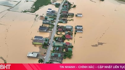 真夏の洪水：異常気象が存亡の脅威に！