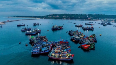 ស្រុក Bach Long Vi (Hai Phong) បំពេញតាមស្តង់ដារជនបទថ្មី។