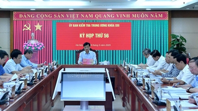 교육훈련부 차관 응우옌 티 킴 치는 경고를 받고 징계를 받았습니다.