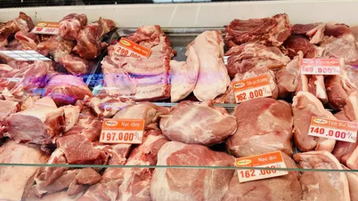 ราคาหมูวันนี้ 03/05 : หลุดจุดสูงสุดต่อไป